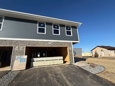 Photo of 311 Alberts Drive, Belleville, WI 53508 (MLS # 2016901)