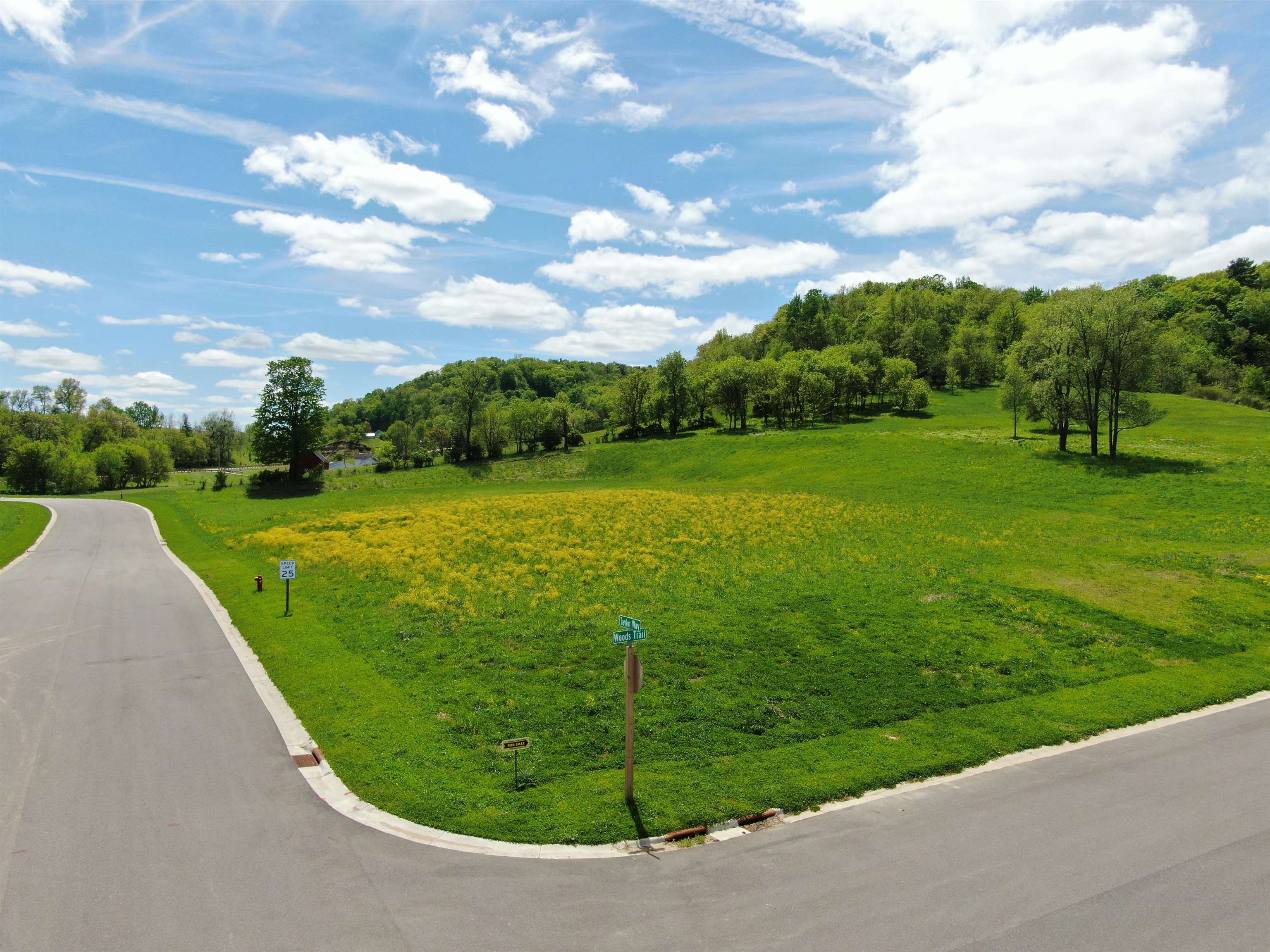 Lot 17 Woods Trail