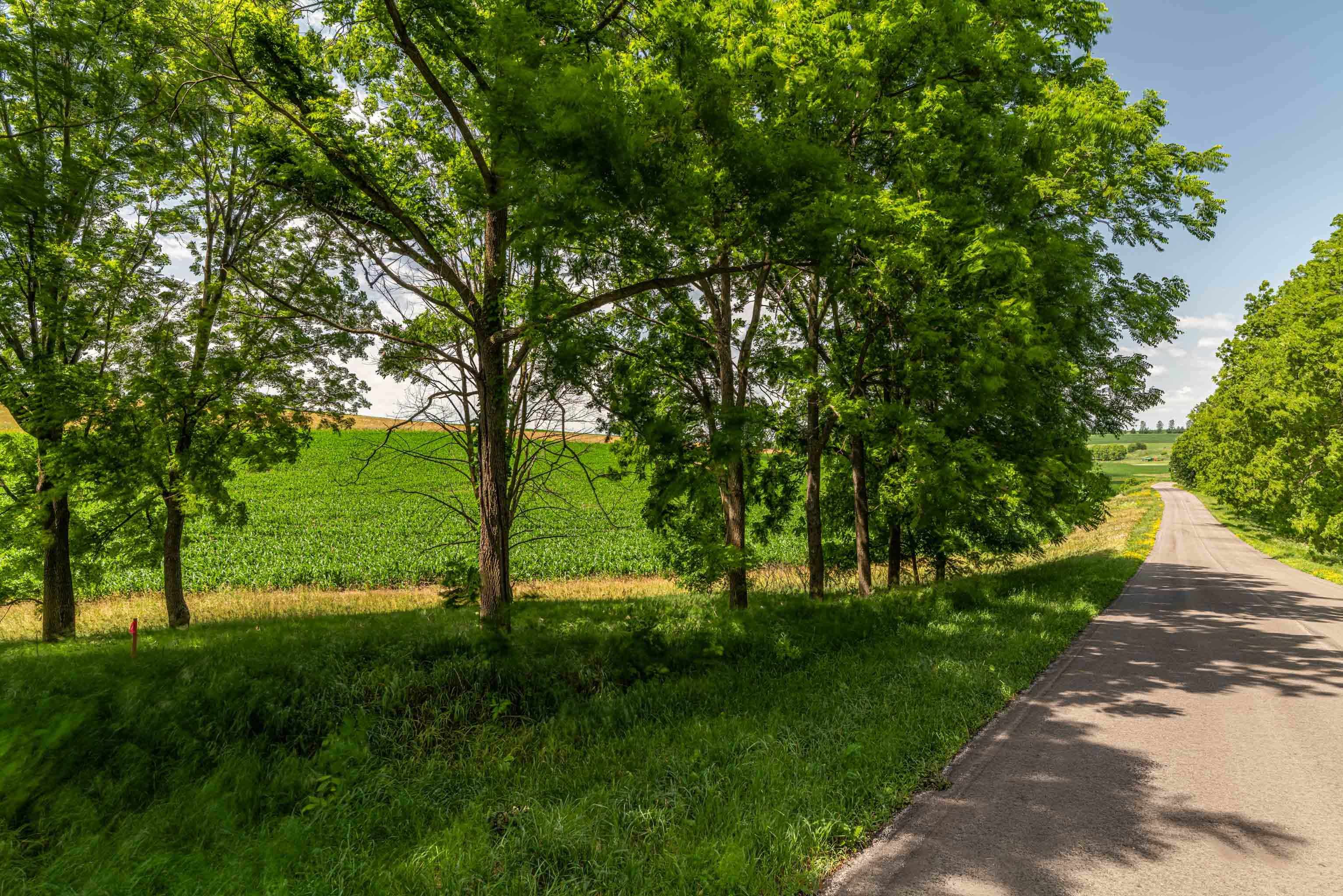 Lot 17 19.14 Acres Hefty Road - Photo 4