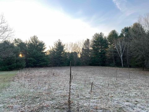 Tiny photo for N8503 County Road N, Neshkoro, WI 54960 (MLS # 1975796)