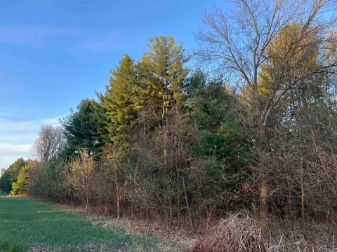 Tiny photo for N8503 County Road N, Neshkoro, WI 54960 (MLS # 1975796)