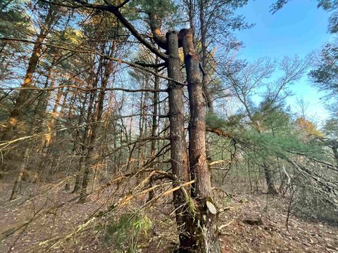 Tiny photo for N8503 County Road N, Neshkoro, WI 54960 (MLS # 1975796)