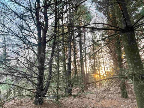 Tiny photo for N8503 County Road N, Neshkoro, WI 54960 (MLS # 1975796)