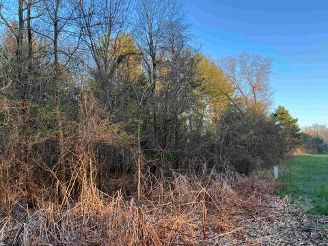 Tiny photo for N8503 County Road N, Neshkoro, WI 54960 (MLS # 1975796)