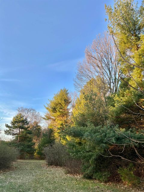 Tiny photo for N8503 County Road N, Neshkoro, WI 54960 (MLS # 1975796)