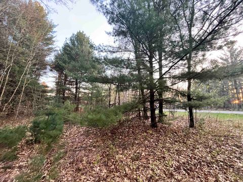 Tiny photo for N8503 County Road N, Neshkoro, WI 54960 (MLS # 1975796)