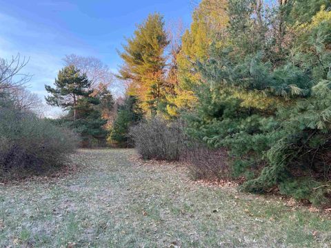Tiny photo for N8503 County Road N, Neshkoro, WI 54960 (MLS # 1975796)