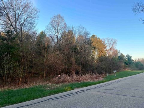 Tiny photo for N8503 County Road N, Neshkoro, WI 54960 (MLS # 1975796)