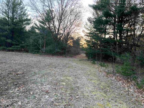 Tiny photo for N8503 County Road N, Neshkoro, WI 54960 (MLS # 1975796)