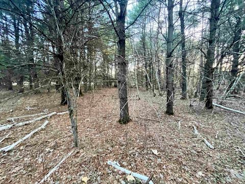 Tiny photo for N8503 County Road N, Neshkoro, WI 54960 (MLS # 1975796)