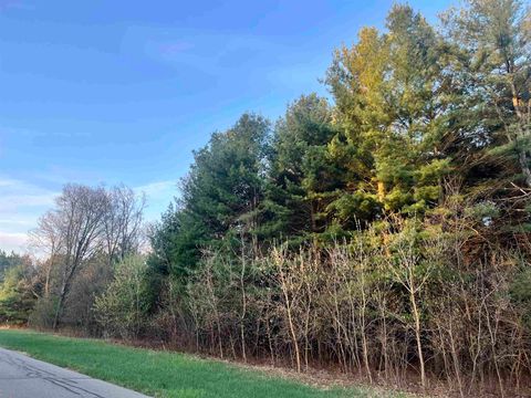 Tiny photo for N8503 County Road N, Neshkoro, WI 54960 (MLS # 1975796)