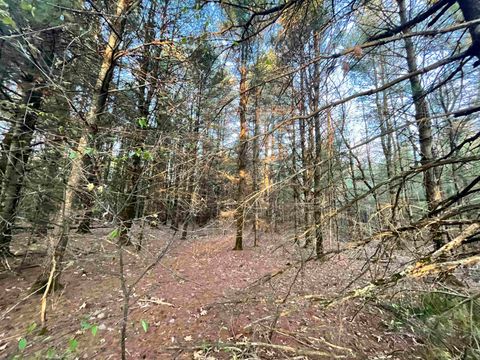 Tiny photo for N8503 County Road N, Neshkoro, WI 54960 (MLS # 1975796)