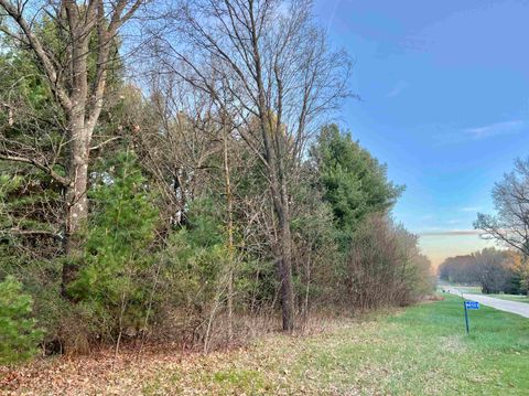 Photo of N8503 County Road N, Neshkoro, WI 54960 (MLS # 1975796)