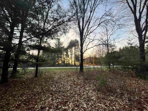 Tiny photo for N8503 County Road N, Neshkoro, WI 54960 (MLS # 1975796)