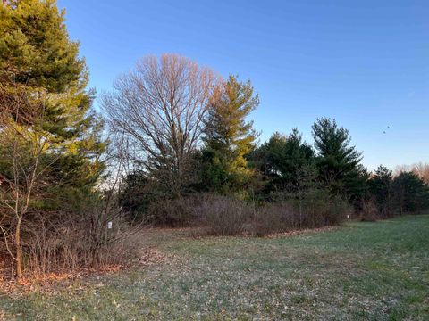 Tiny photo for N8503 County Road N, Neshkoro, WI 54960 (MLS # 1975796)