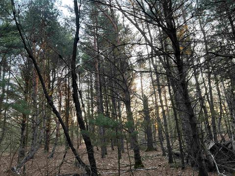 Tiny photo for N8503 County Road N, Neshkoro, WI 54960 (MLS # 1975796)