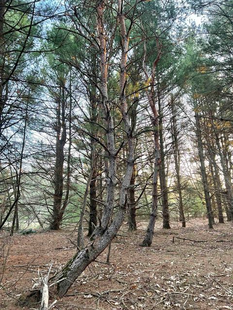Tiny photo for N8503 County Road N, Neshkoro, WI 54960 (MLS # 1975796)