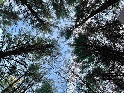 Tiny photo for N8503 County Road N, Neshkoro, WI 54960 (MLS # 1975796)