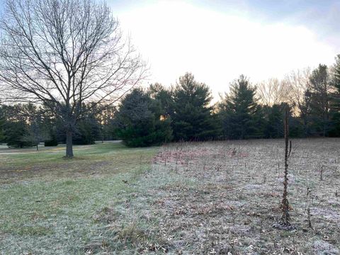 Tiny photo for N8503 County Road N, Neshkoro, WI 54960 (MLS # 1975796)