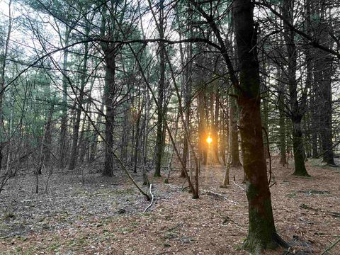 Tiny photo for N8503 County Road N, Neshkoro, WI 54960 (MLS # 1975796)