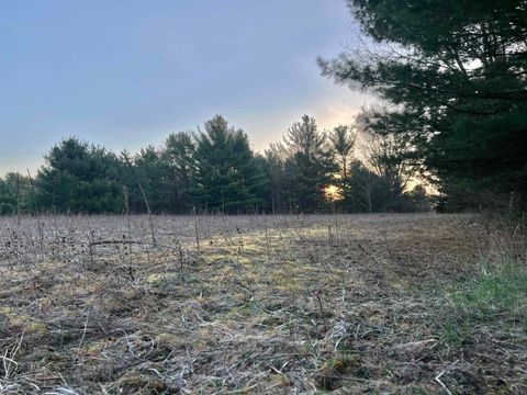 Tiny photo for N8503 County Road N, Neshkoro, WI 54960 (MLS # 1975796)
