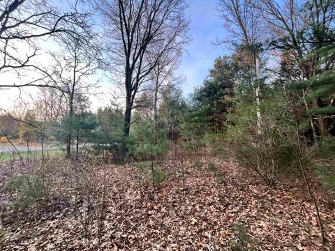Tiny photo for N8503 County Road N, Neshkoro, WI 54960 (MLS # 1975796)