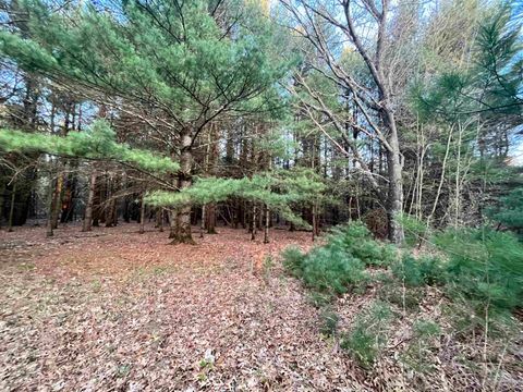 Tiny photo for N8503 County Road N, Neshkoro, WI 54960 (MLS # 1975796)