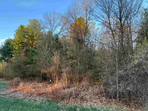 Tiny photo for N8503 County Road N, Neshkoro, WI 54960 (MLS # 1975796)