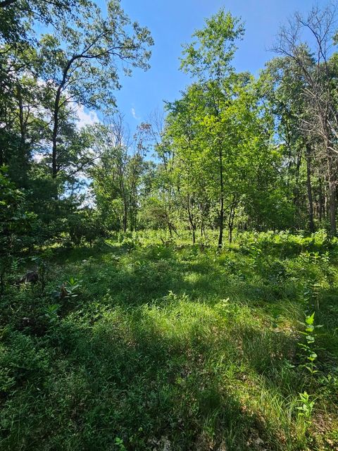 Tiny photo for 3671 9th Avenue, Wisconsin Dells, WI 53965 (MLS # 2003939)