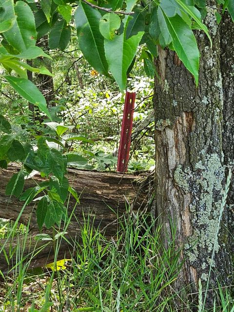 Tiny photo for 3671 9th Avenue, Wisconsin Dells, WI 53965 (MLS # 2003939)