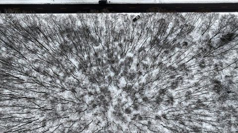 Tiny photo for Lots 11 & 14 County Road A, Grand Marsh, WI 53936 (MLS # 2013488)