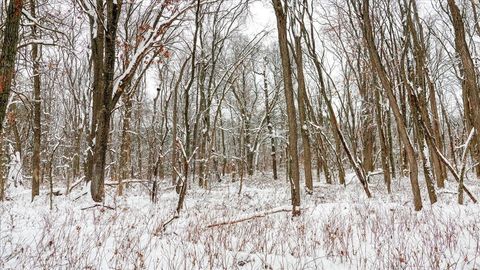 Tiny photo for Lots 11 & 14 County Road A, Grand Marsh, WI 53936 (MLS # 2013488)