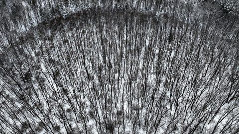 Tiny photo for Lots 11 & 14 County Road A, Grand Marsh, WI 53936 (MLS # 2013488)