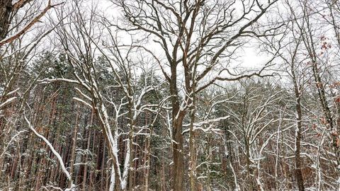 Tiny photo for Lots 11 & 14 County Road A, Grand Marsh, WI 53936 (MLS # 2013488)