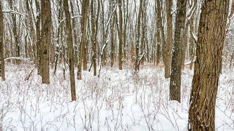 Tiny photo for Lots 11 & 14 County Road A, Grand Marsh, WI 53936 (MLS # 2013488)