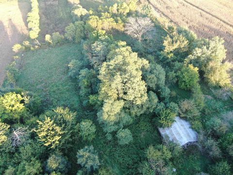 Tiny photo for N2644 County Road O, Oxford, WI 53952 (MLS # 2009818)