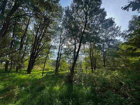 Tiny photo for N2644 County Road O, Oxford, WI 53952 (MLS # 2009818)