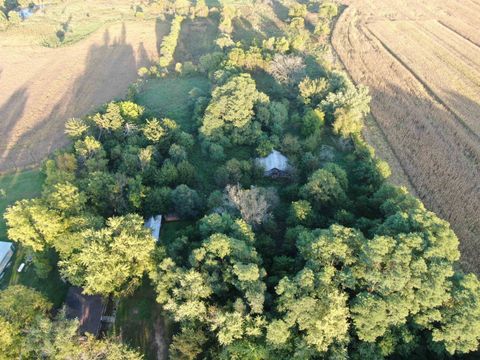 Tiny photo for N2644 County Road O, Oxford, WI 53952 (MLS # 2009818)