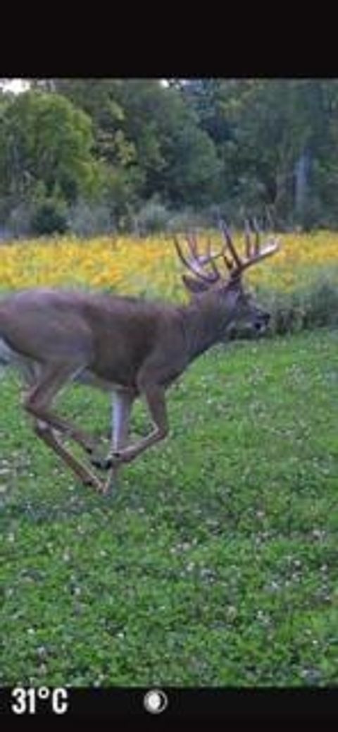 Tiny photo for W7181 Duck Creek Avenue, Westfield, WI 53964 (MLS # 1997050)