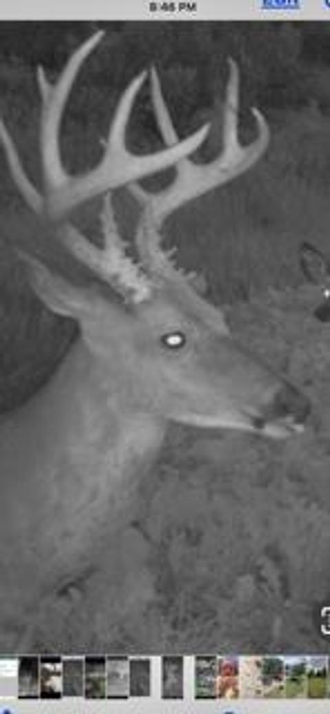 Tiny photo for W7181 Duck Creek Avenue, Westfield, WI 53964 (MLS # 1997050)