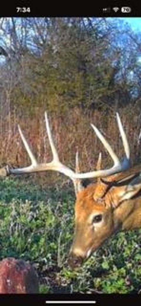 Tiny photo for W7181 Duck Creek Avenue, Westfield, WI 53964 (MLS # 1997050)