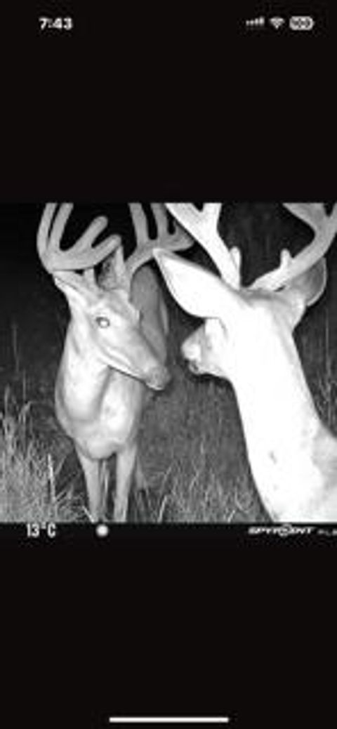 Tiny photo for W7181 Duck Creek Avenue, Westfield, WI 53964 (MLS # 1997050)