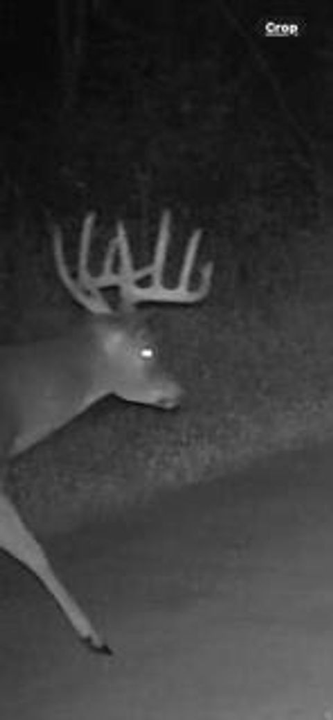 Tiny photo for W7181 Duck Creek Avenue, Westfield, WI 53964 (MLS # 1997050)