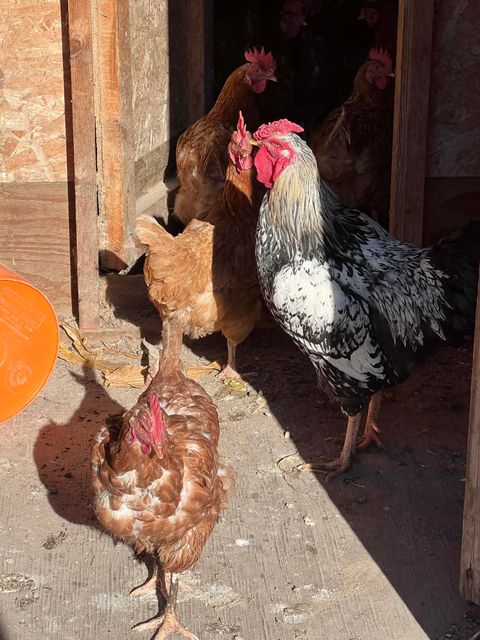 Tiny photo for S2547 State Hwy 58, La Valle, WI 53941 (MLS # 2012575)