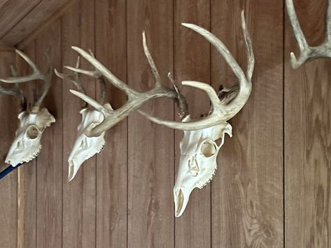 Tiny photo for S2547 State Hwy 58, La Valle, WI 53941 (MLS # 2012575)