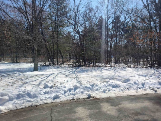 103 PINE CIRCLE DR, BOSCOBEL, WI 53805 - Image 14d928afc0fc7de11a3fcdd15fa33c4e/3375324820