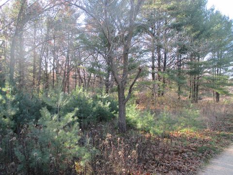 Photo of Lot 2 Eagle Rest Court, Montello, WI 53949 (MLS # 2012581)