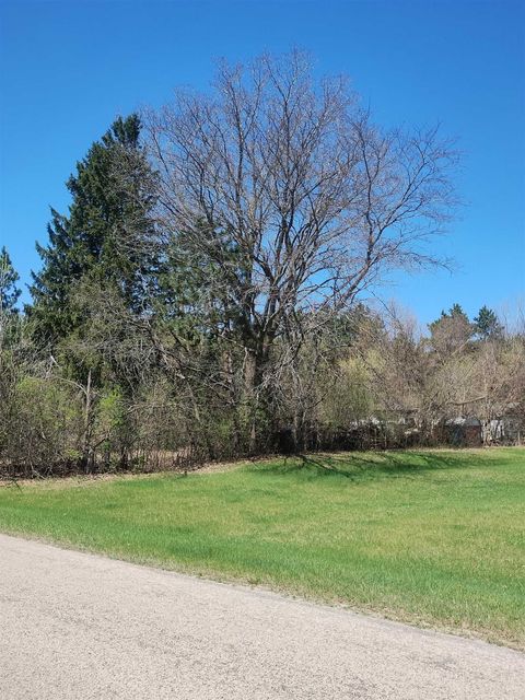 Photo of W5780 Gorman Road, Rio, WI 53960 (MLS # 2021650)