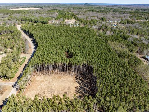 Photo of N9990 Pine Cone Court, Necedah, WI 54646 (MLS # 2020394)