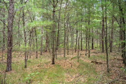 Photo of Lot 44 Morros Mile Road, Necedah, WI 54646 (MLS # 2030862)